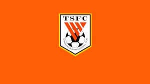 Shandong Taishan FC