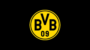 Dortmund FC