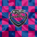 Sagan Tosu FC
